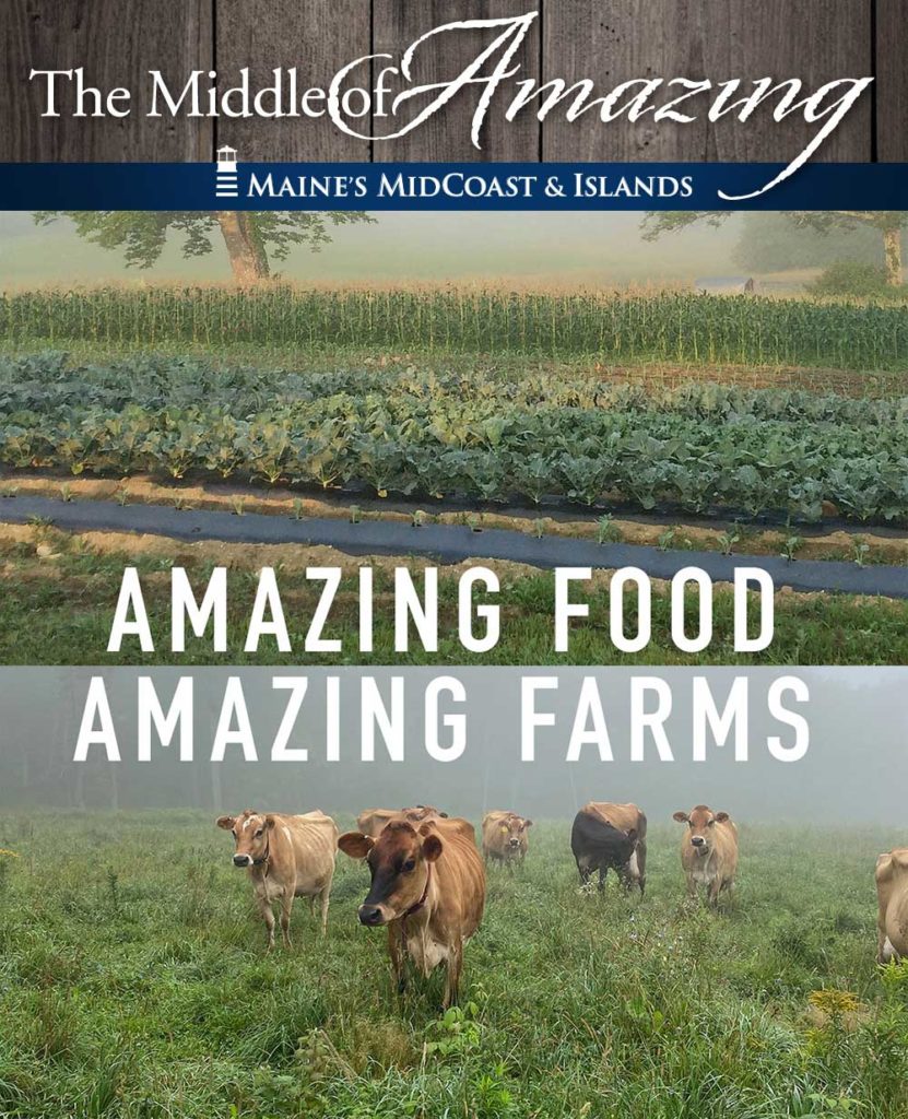 MMI-email-growers MMI email newsletter masthead, graphic design for Amazing Food, Amazing Farms